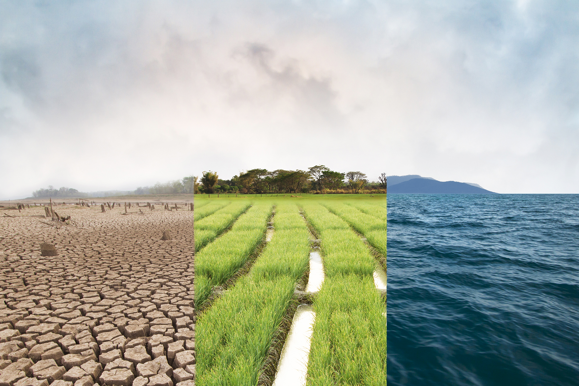 A triptych showing cracked desert earth, green irrigation, and dark waters.   