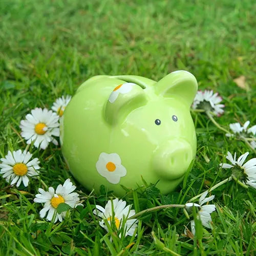 A green ceramic piggy bank sits in a lush field of grass encircled by a daisy chain. 