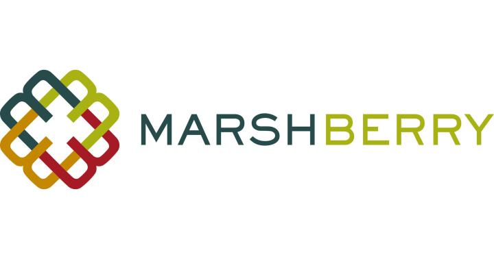 MarshBerry Connect Logo