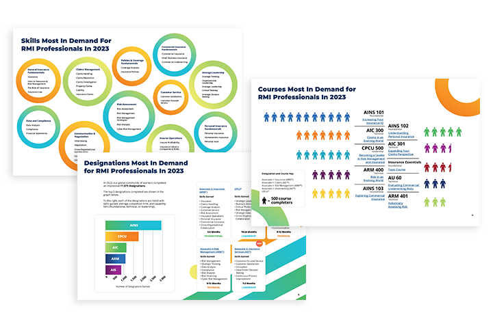 preview of images inside The Institutes Knowledge Group 2024 Skills Report